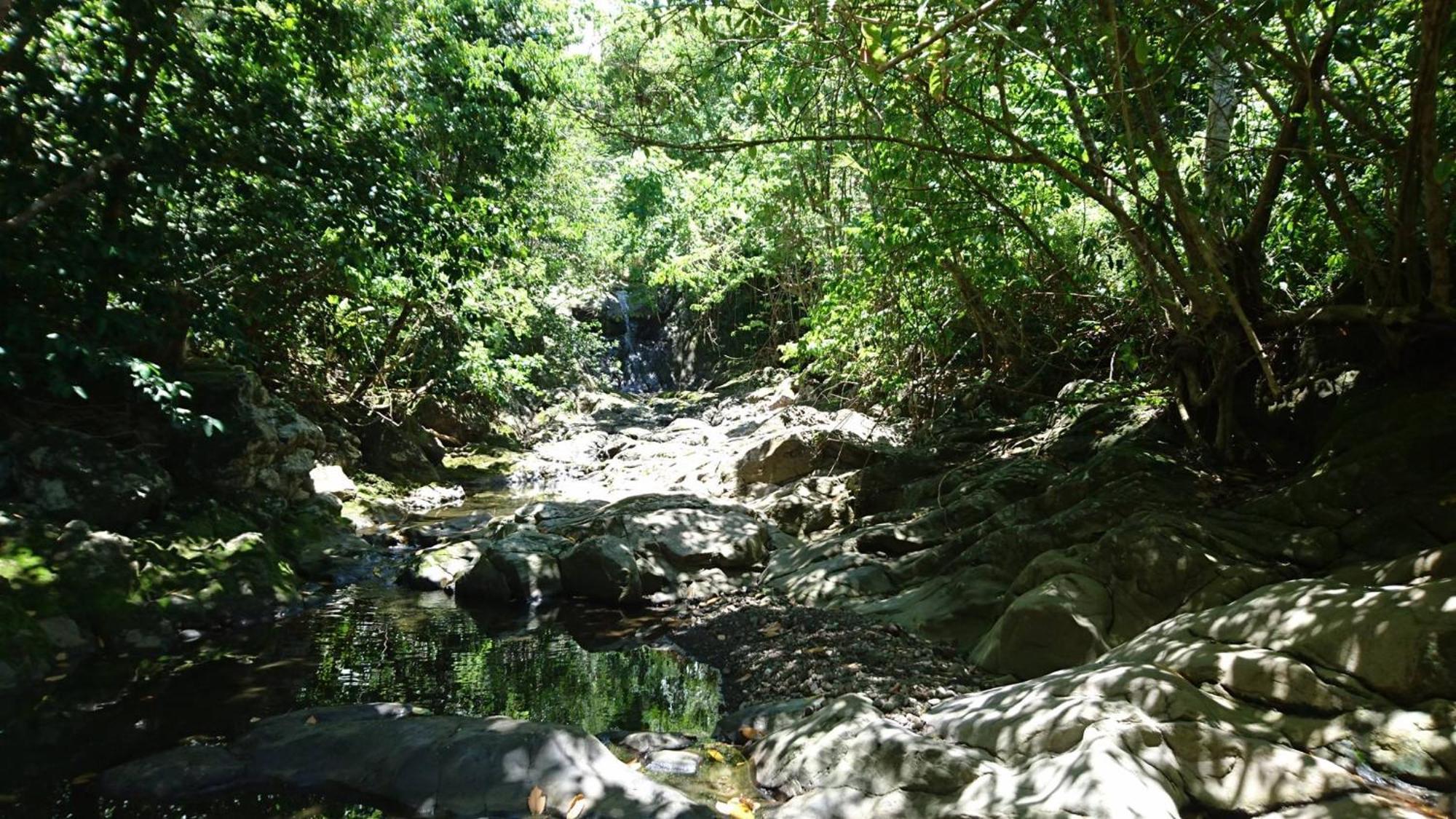 Awmony'Kaz, Gite A Trois-Rivieres Guadeloupe Εξωτερικό φωτογραφία