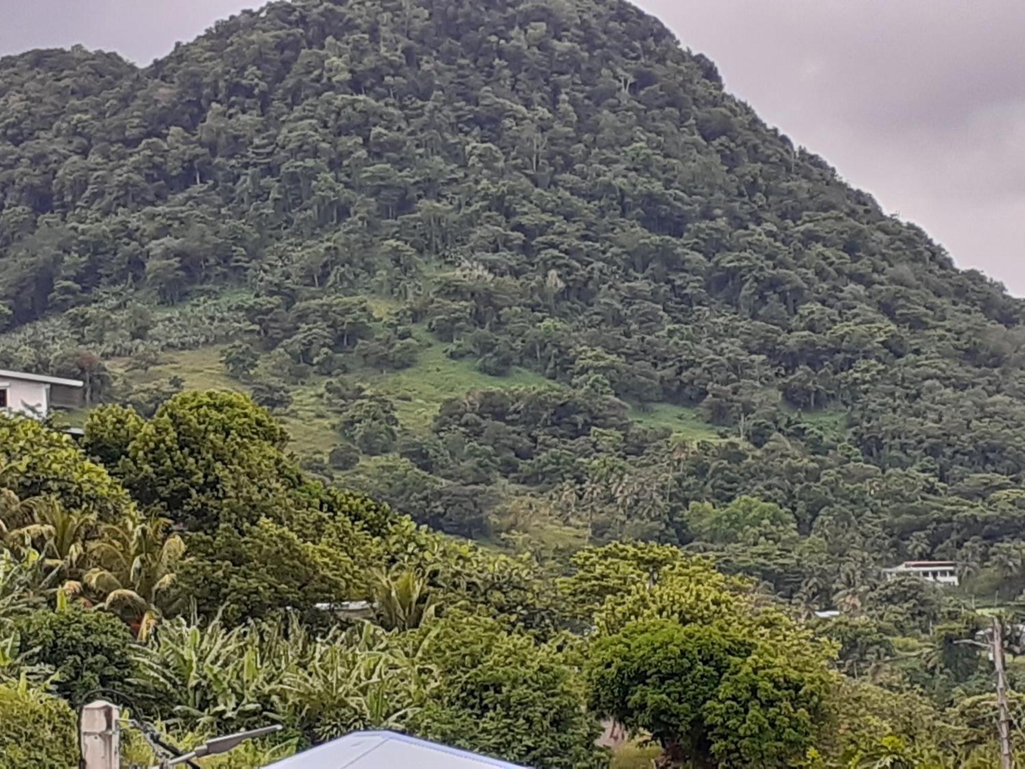 Awmony'Kaz, Gite A Trois-Rivieres Guadeloupe Εξωτερικό φωτογραφία
